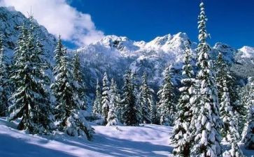 除雪活动总结报告优质8篇
