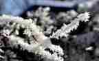 除雪活动总结与反思参考7篇