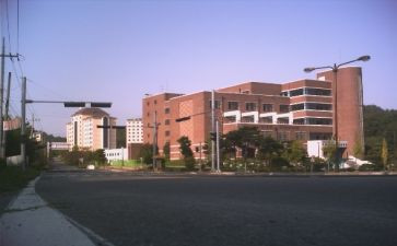 学部主任述职报告6篇