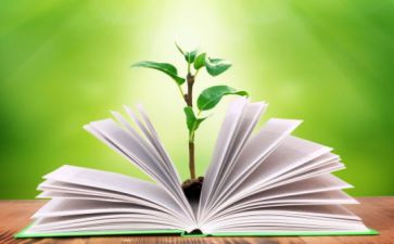 地理教师学期教学工作总结6篇