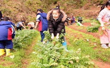 学农记作文7篇