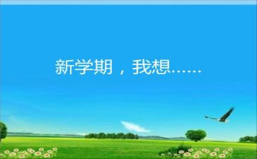 2024-2024年学期个人总结最新5篇