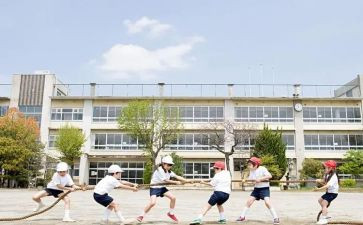 学生代表高考发言稿范文6篇