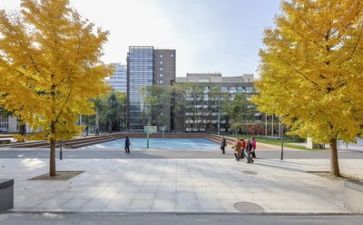 学校的自我鉴定最新7篇