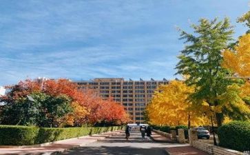 学校安全办工作总结通用5篇