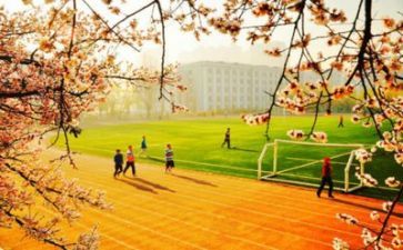 学校食堂活动方案6篇