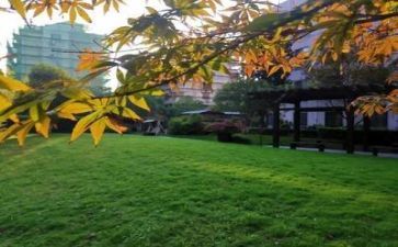 学校下年度的工作计划通用8篇