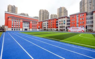 学校安全办工作总结精选5篇