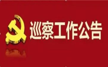 2024年巡察组工作总结5篇