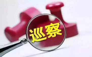 向巡察组工作汇报材料5篇