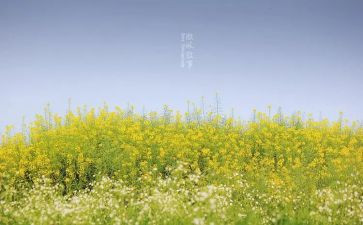 月亮叙事的作文6篇