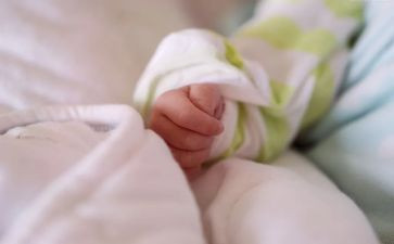 小班社会蚕宝宝教案6篇