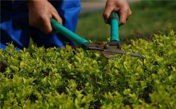 养护所工作计划范文5篇