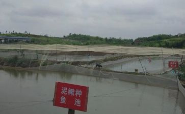 养殖合同通用5篇
