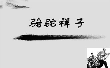 我的样子作文我的样子作文8篇