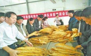 2023年试验员工作计划8篇