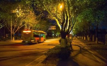 夏夜美景作文8篇