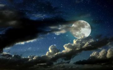 除夕夜作文800字8篇