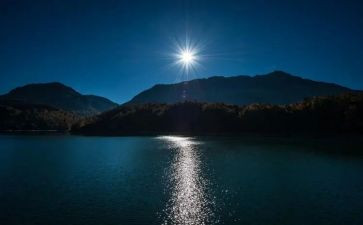 仲夏的夜作文7篇