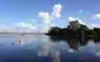 写叶子的作文5篇