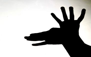 找影子小班教案5篇
