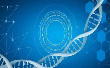2024年医学生工作总结报告模板6篇