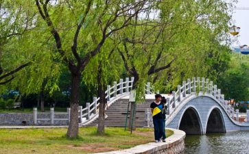 元旦游园活动总结8篇