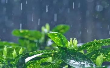 花季·雨季作文6篇