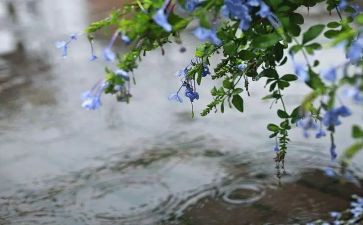 济南的雨作文600字5篇