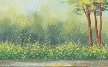 写四季的雨的作文通用6篇