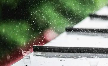 雨优秀作文600字6篇
