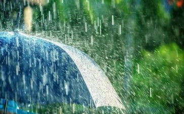 幼儿园大班《雨》教案优秀7篇