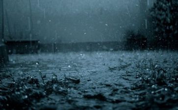 雨的故事作文600字通用8篇