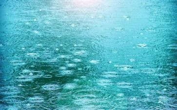 雨的四季作文300字7篇