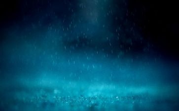 春雨作文600字5篇