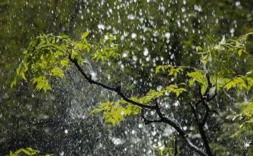 写雨后彩虹的作文8篇