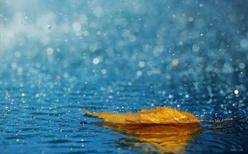 写雨季的作文7篇