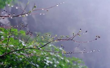 大班语言雨教案优质6篇