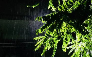 春雨作文500字5篇