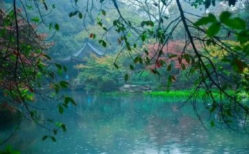 暴雨的演讲稿5篇