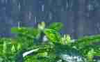 春天的雨作文400字推荐8篇
