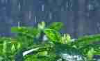 雨的颜色作文600字模板7篇