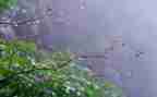 雨季作文模板5篇
