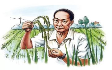袁隆平榜样作文6篇