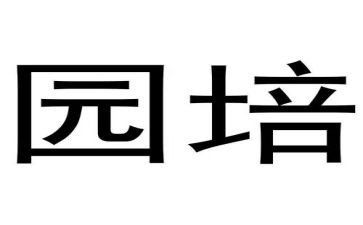 幼儿园培训说课心得体会总结7篇