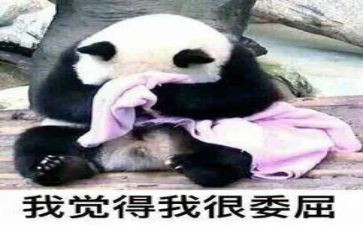 被冤枉的作文5篇