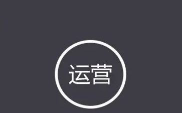 运营的个人总结5篇