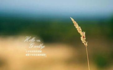我再见作文推荐5篇