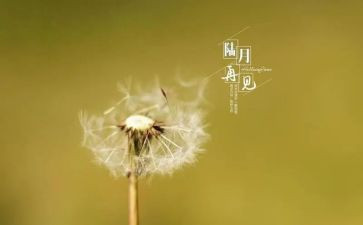 我再见作文最新8篇