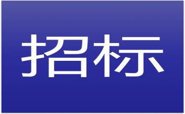 工程招标工作总结6篇
